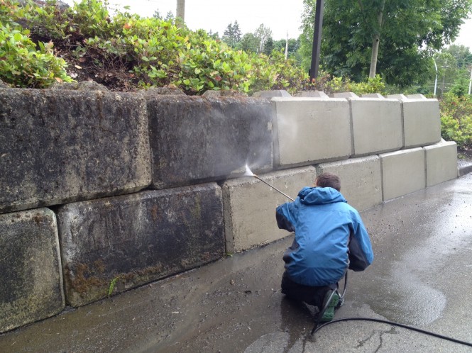 Walls, Fences & Stone Cleaning